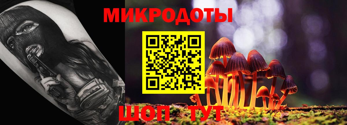 Галлюциногенные грибы Psilocybe  Вход с VPN  Норильск 